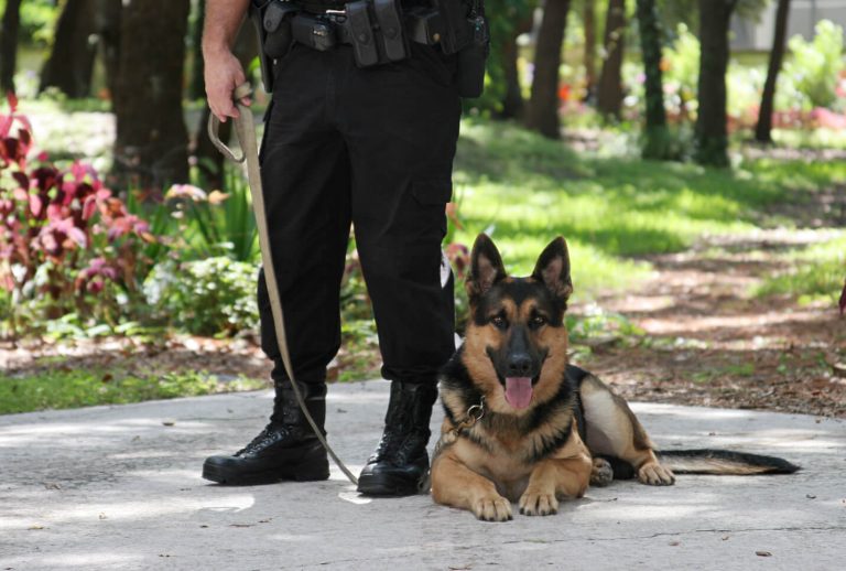 Police-Dog