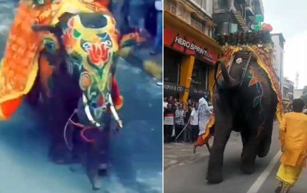 jagannath-temple elephant