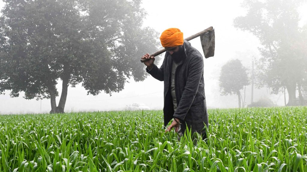 deccanherald_import_sites_dh_files_articleimages_2022_11_28_farmers-afp-1166257-1669601917