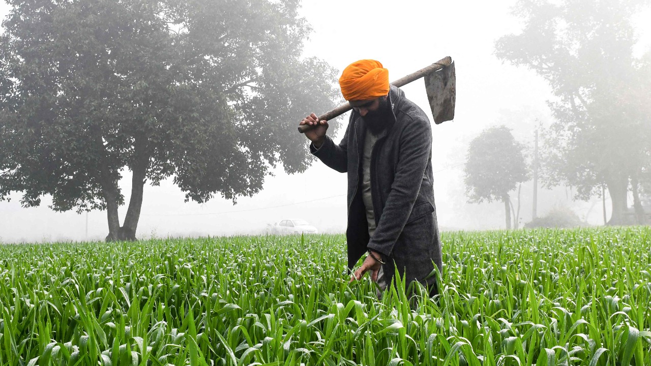 deccanherald_import_sites_dh_files_articleimages_2022_11_28_farmers-afp-1166257-1669601917