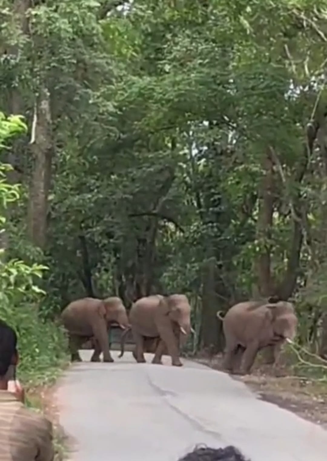 WhatsApp Image 2025-08-07 at 3.38.48 PM