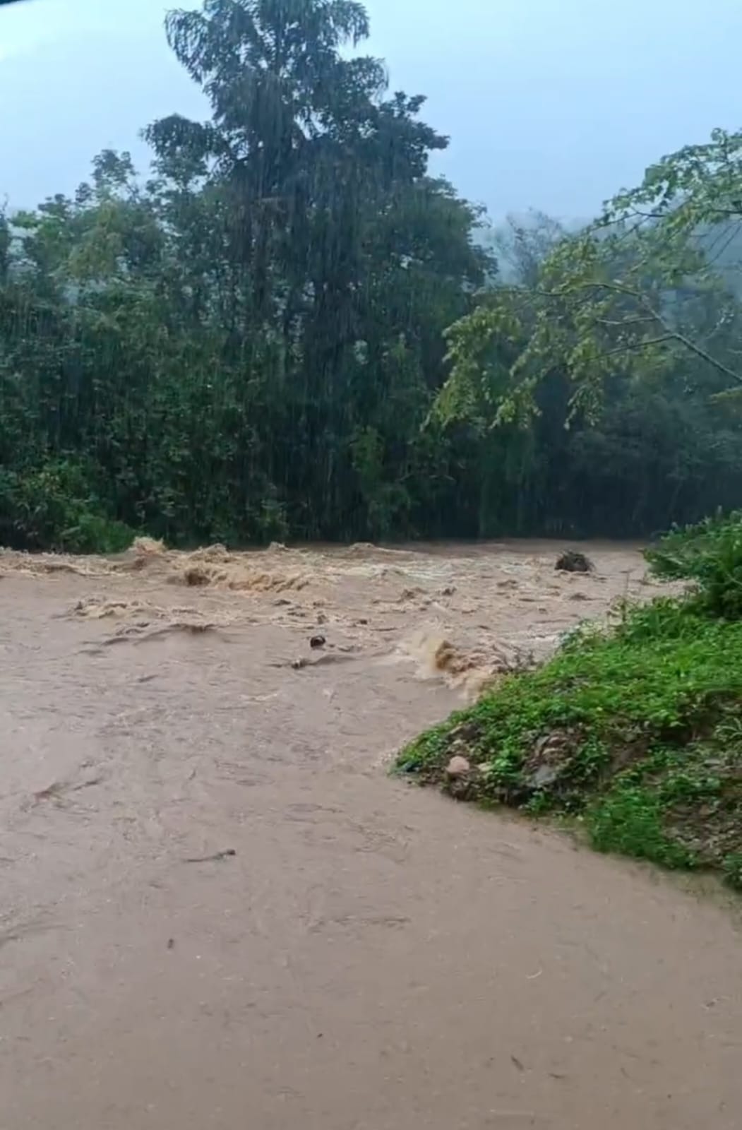 WhatsApp Image 2025-08-30 at 11.15.14 AM