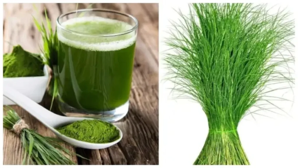 garike-juice-cure-blood-cancer-1725798689