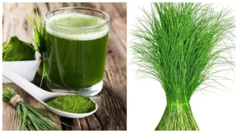 garike-juice-cure-blood-cancer-1725798689