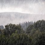istockphoto-1461681027-612x612