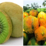 kiwi-fruit-or-papaya-which-is-good-for-increasing-platelet-count-123203284
