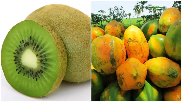 kiwi-fruit-or-papaya-which-is-good-for-increasing-platelet-count-123203284