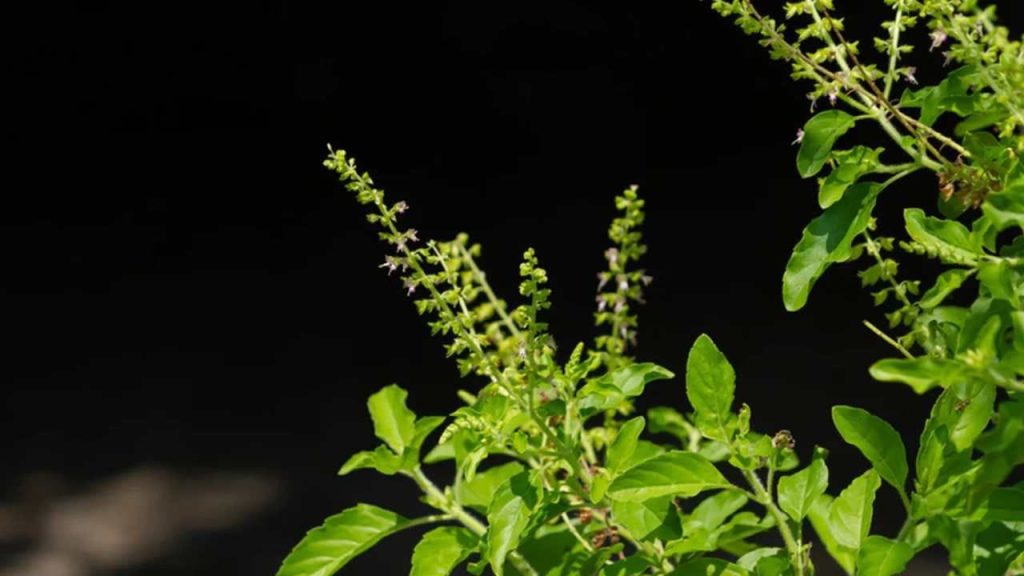 1a5cda9a-3992-4d31-af11-fede8c2fcd11