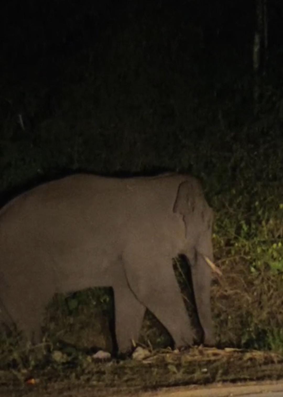 WhatsApp Image 2025-11-22 at 9.17.24 AM