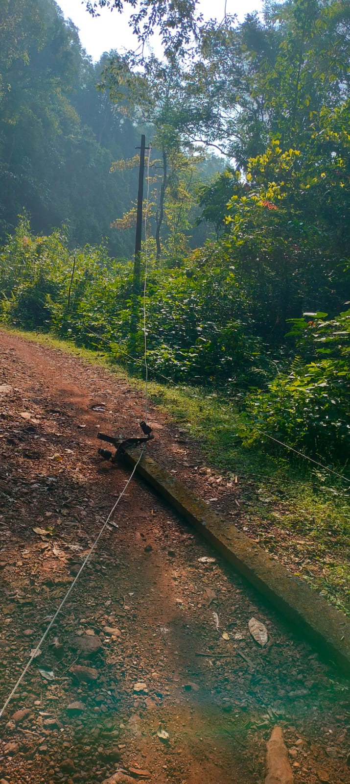 a3497973-074d-4cb4-920a-fd99b20dd44d