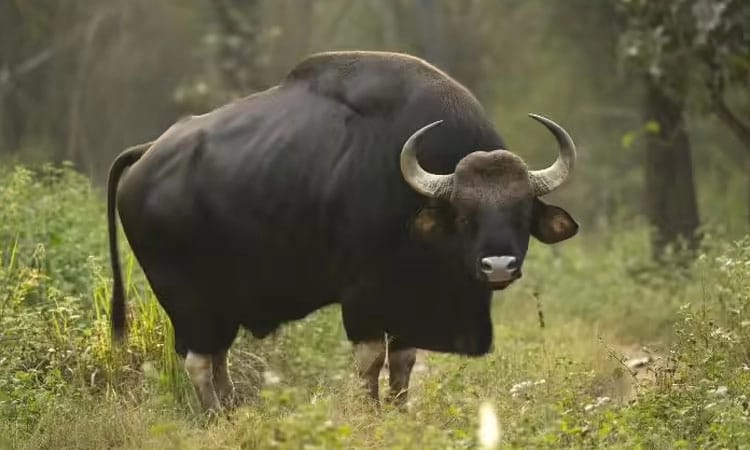 f8c35c17-ae33-45da-a7f6-f8f83b0b4b9b