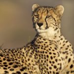 WhatsApp Image 2025-12-30 at 12.43.39 PM