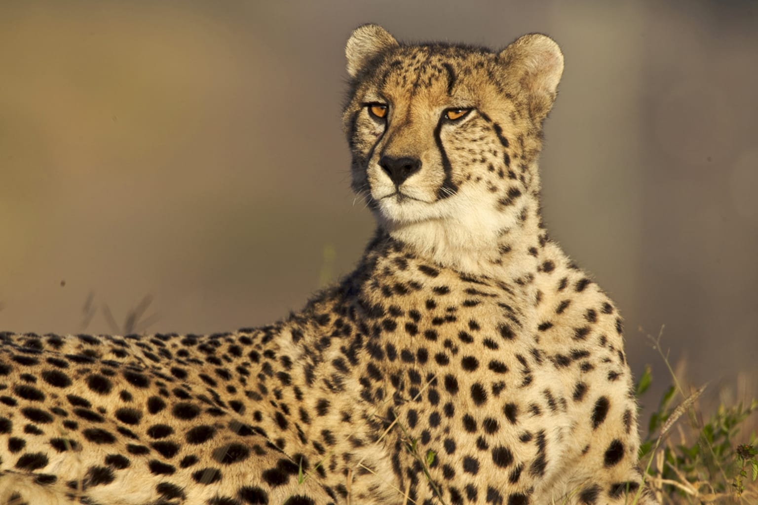 WhatsApp Image 2025-12-30 at 12.43.39 PM