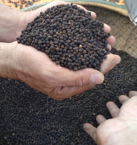 natural-round-shape-black-pepper-972