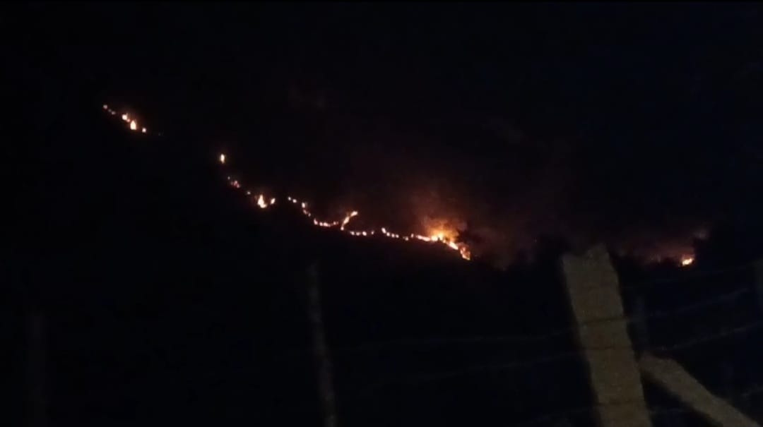 WhatsApp Image 2026-01-06 at 12.35.38 PM