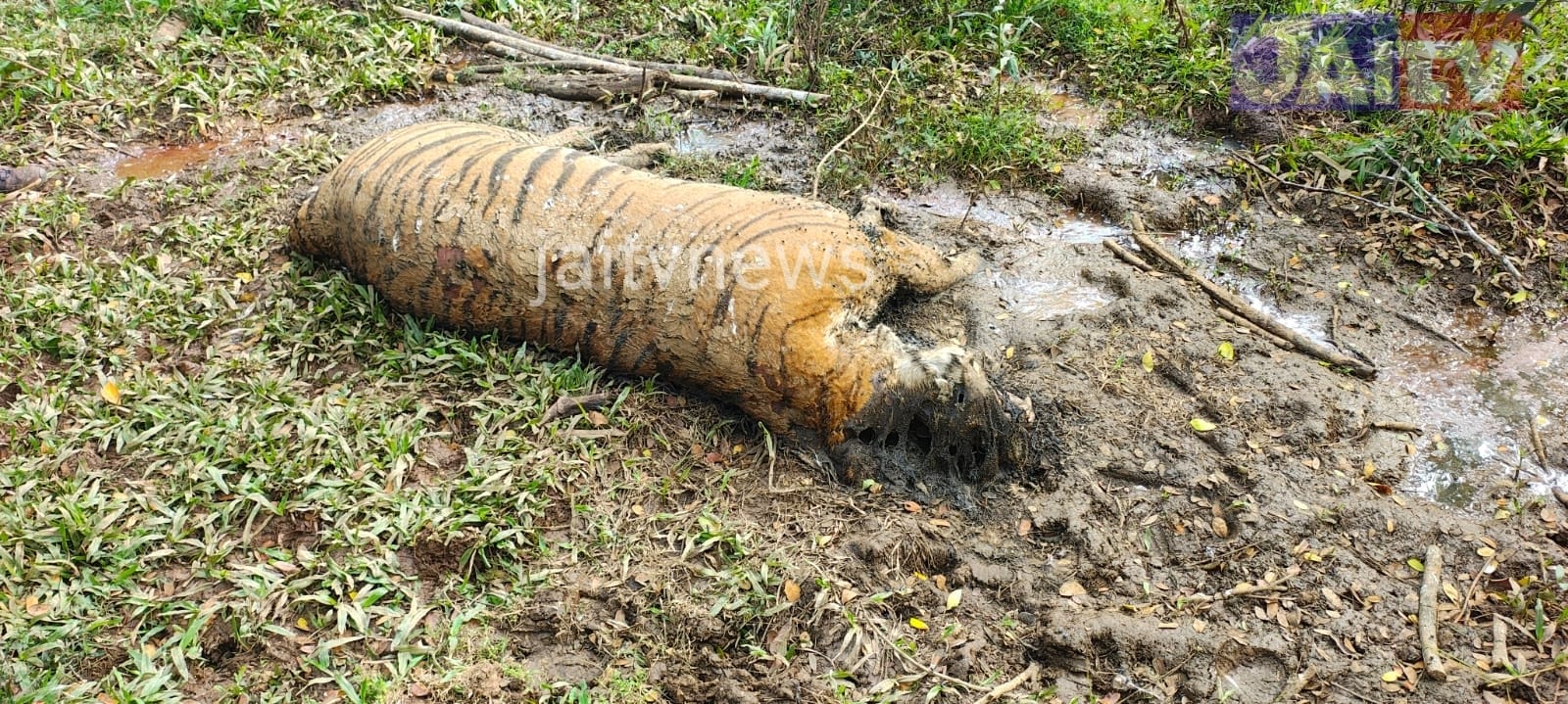 WhatsApp Image 2026-01-07 at 12.55.27 PM