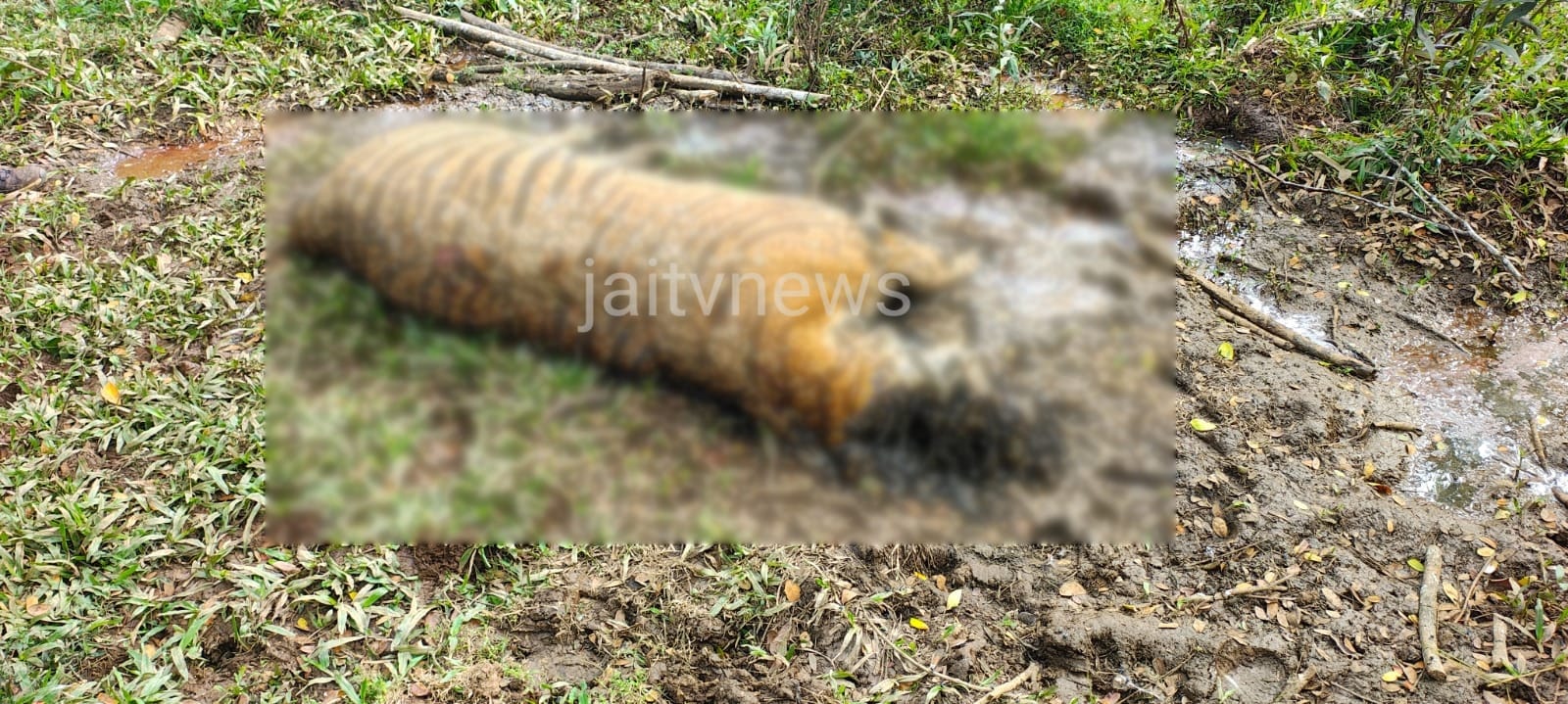 WhatsApp Image 2026-01-07 at 3.50.45 PM