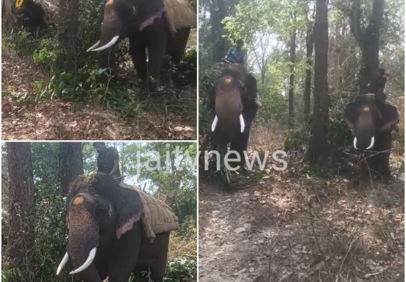 WhatsApp Image 2026-02-19 at 1.16.28 PM