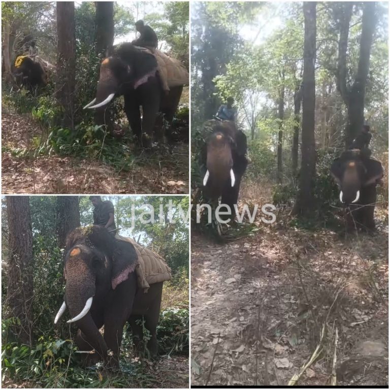 WhatsApp Image 2026-02-19 at 1.16.28 PM