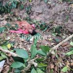 WhatsApp Image 2026-02-23 at 10.57.03 AM