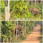 WhatsApp Image 2026-03-04 at 12.24.12 PM