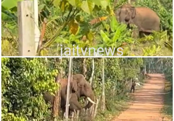 WhatsApp Image 2026-03-04 at 12.24.12 PM