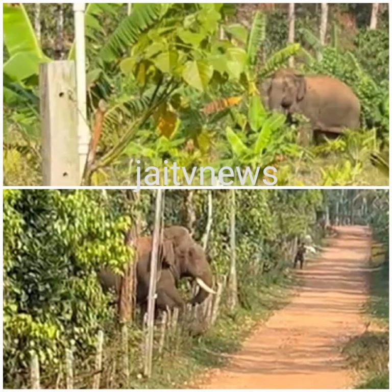 WhatsApp Image 2026-03-04 at 12.24.12 PM