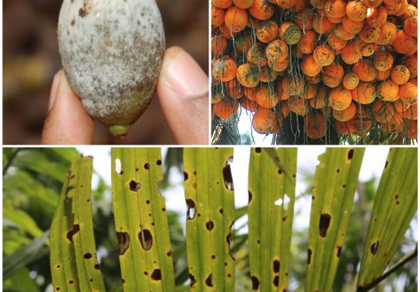 WhatsApp Image 2026-03-06 at 3.18.55 PM