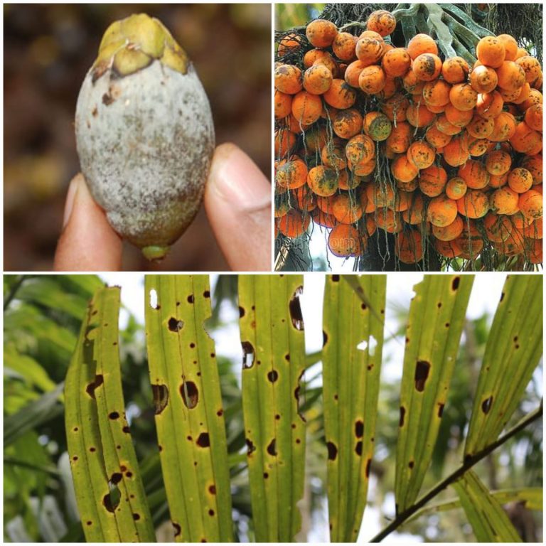 WhatsApp Image 2026-03-06 at 3.18.55 PM