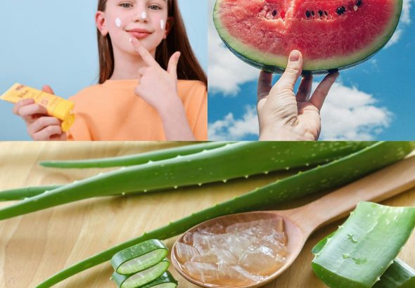 WhatsApp Image 2026-03-17 at 1.01.18 PM