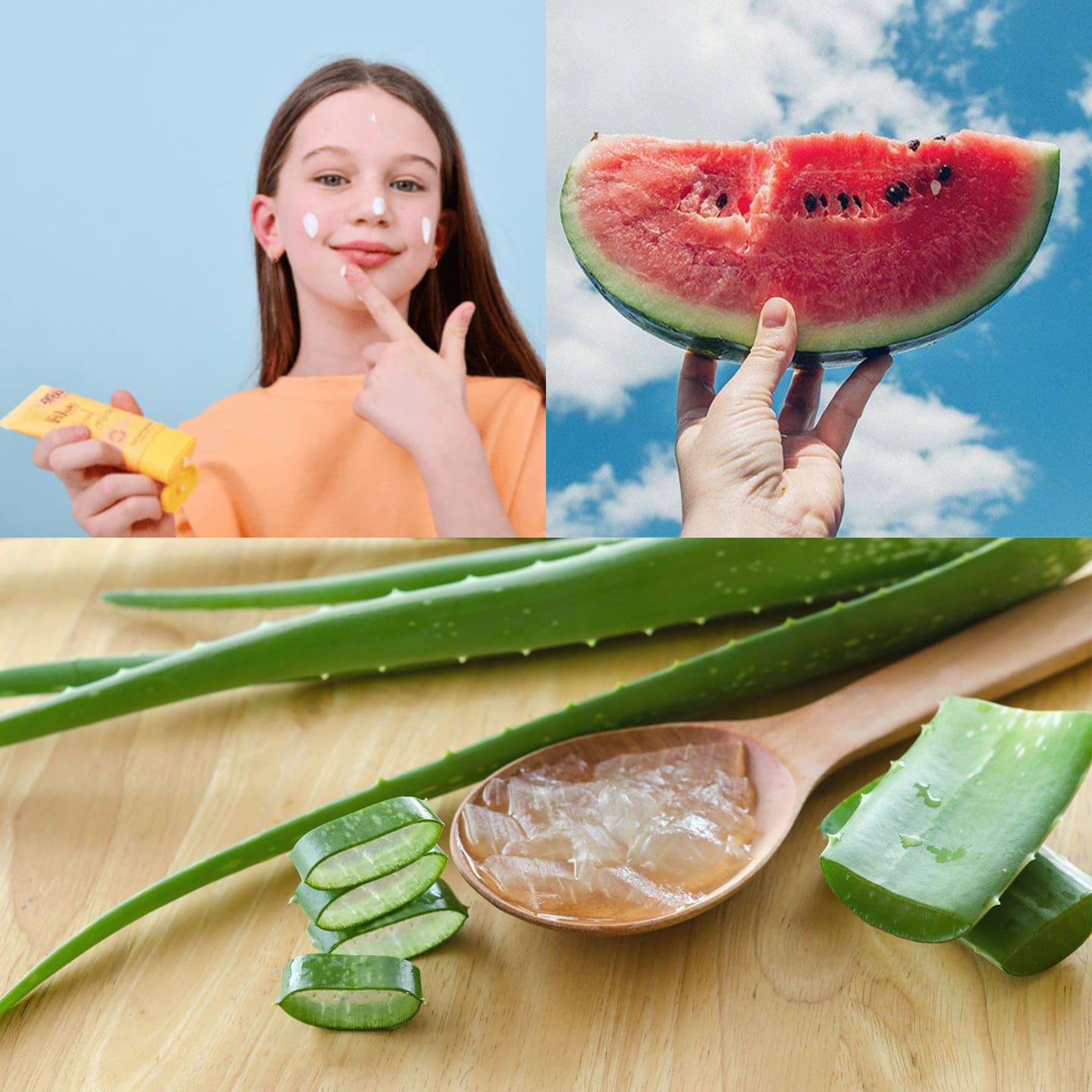 WhatsApp Image 2026-03-17 at 1.01.18 PM