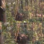 WhatsApp Image 2026-03-18 at 4.08.52 PM