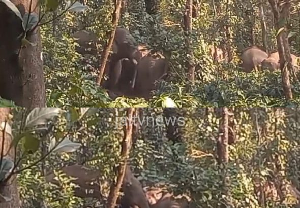 WhatsApp Image 2026-03-18 at 4.08.52 PM