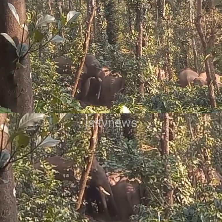 WhatsApp Image 2026-03-18 at 4.08.52 PM