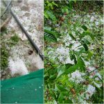 WhatsApp Image 2026-03-18 at 4.13.33 PM