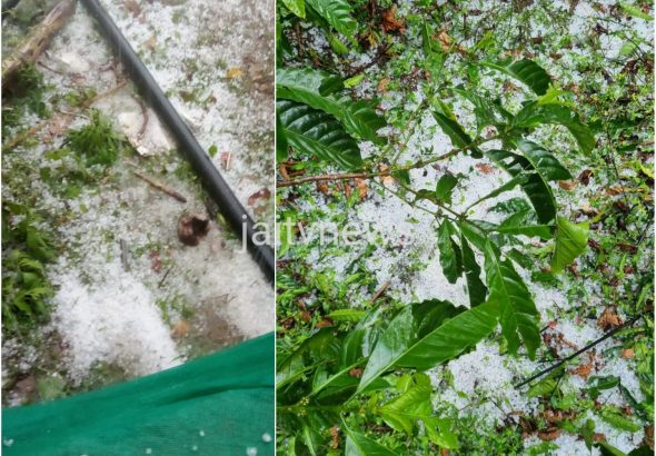 WhatsApp Image 2026-03-18 at 4.13.33 PM