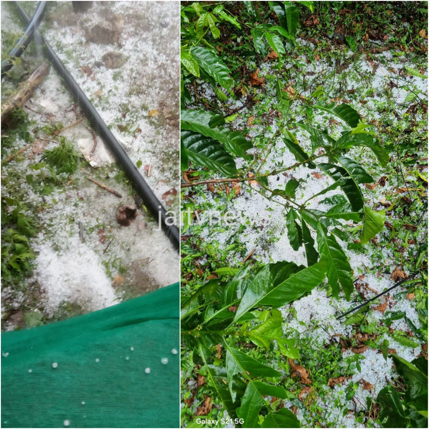 WhatsApp Image 2026-03-18 at 4.13.33 PM