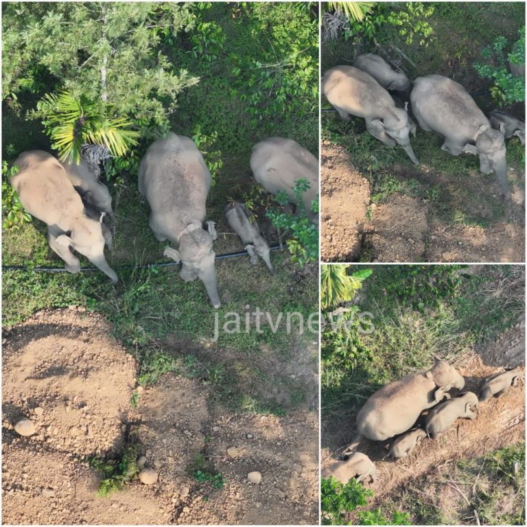 WhatsApp Image 2026-03-20 at 12.41.47 PM