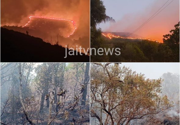 WhatsApp Image 2026-03-20 at 3.46.15 PM