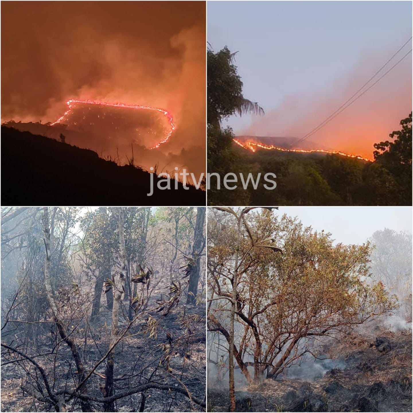 WhatsApp Image 2026-03-20 at 3.46.15 PM