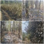 WhatsApp Image 2026-03-23 at 12.42.07 PM