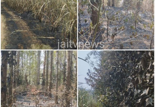 WhatsApp Image 2026-03-23 at 12.42.07 PM