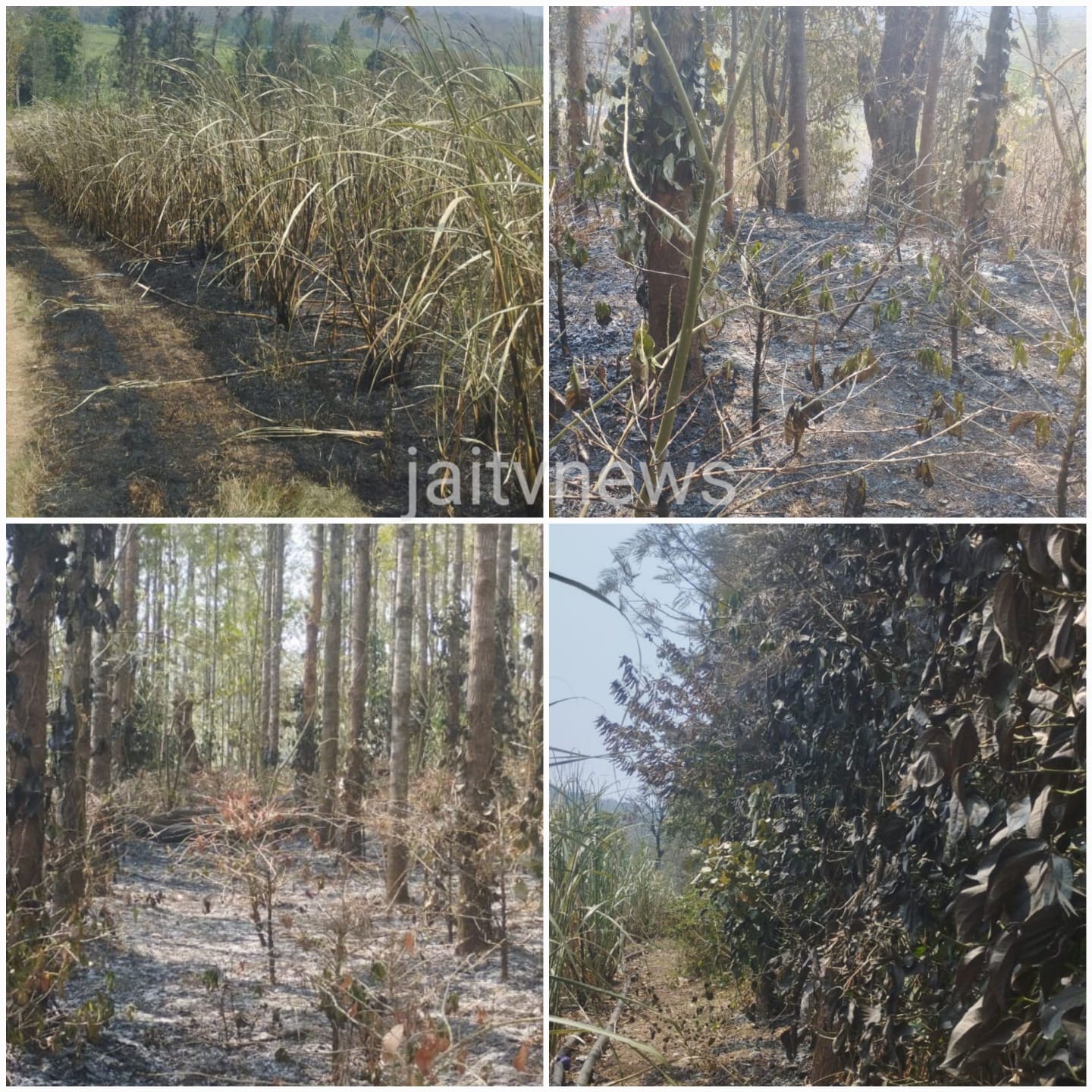 WhatsApp Image 2026-03-23 at 12.42.07 PM