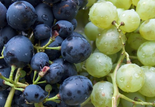 WhatsApp Image 2026-03-27 at 3.27.04 PM