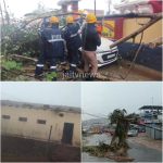 WhatsApp Image 2026-03-28 at 4.09.35 PM