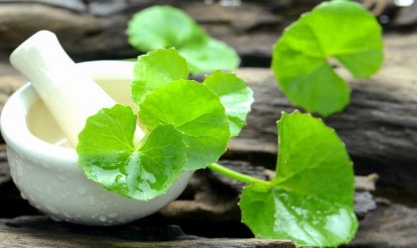 brahmi_620x351_51492412154