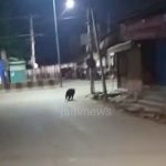 WhatsApp Image 2026-04-01 at 11.20.19 AM