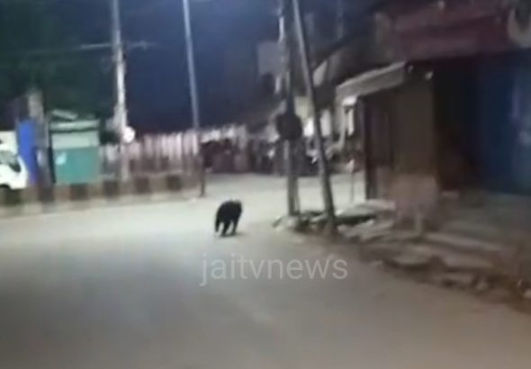 WhatsApp Image 2026-04-01 at 11.20.19 AM