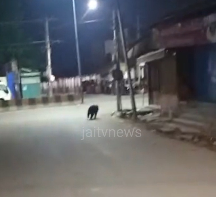 WhatsApp Image 2026-04-01 at 11.20.19 AM