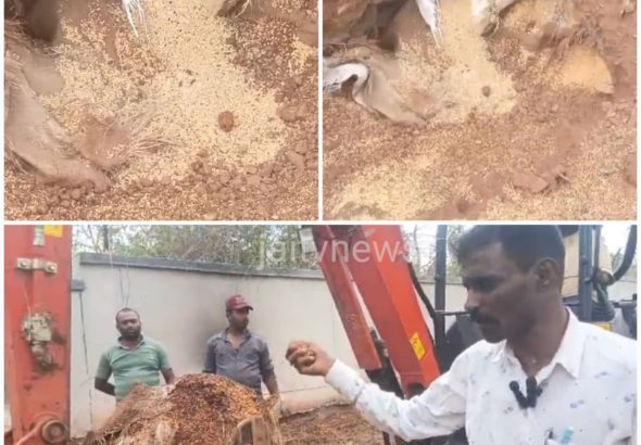 WhatsApp Image 2026-04-02 at 3.54.15 PM